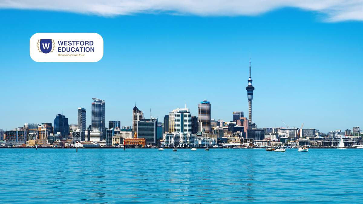 study-in-newzealand-from-nepal