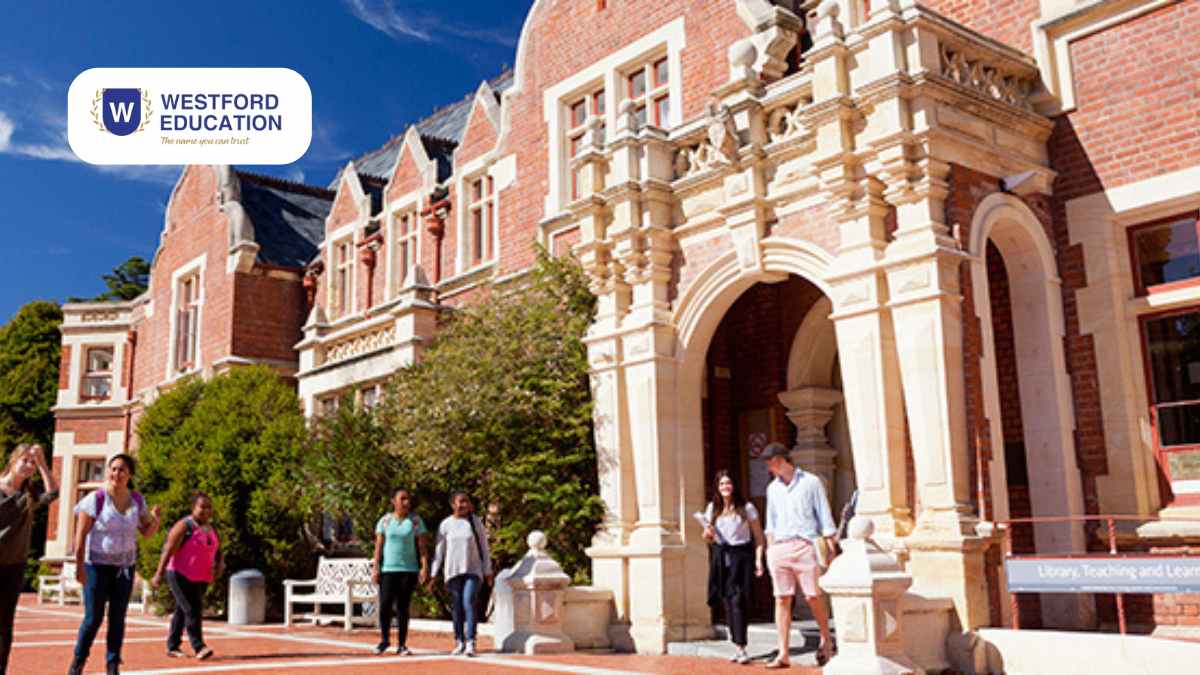 Study in New Zealand